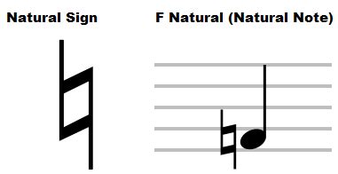 What Is a Natural Note in Music and Its Enigmatic Connection to Harmony